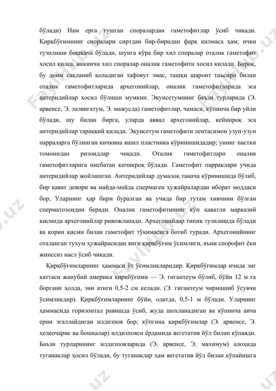 галлайдиган илдизпоя бор; кўпгина қирқбўғимлар (э. арвенсе, э. ҳелеочарис ва бошқалар) илдизпояси ёрдамида вегетатив йўл билан кўпаяди. баъзи турларининг илдизпояларида (э. арвенсе, э. махимум) алоҳида туганаклар ҳосил бўлади, бу туганаклар ҳам вегетатив йўл билаи кўпайишга хизмат қилади. илдизпояларининг учи қайрилиб, ер бетига чиқади ва ер усти новдаларини ҳосил қилади. баъзи қирқбўғимларда вегетатив новдалар билан спора берувчи новдалар бир-биридан фарқ қилмайди; баъзиларида эса бу новдалар бир-биридан кескин фарқ қилади (диморфизм). масалан, е. арвенсенинг эрта баҳорда ҳосил бўлган новдалари оч қўнғир рангли ва нозик бўлиб, узоқ яшамайди. уларнинг учида спорали бошоқчалар бўлади; улар спораларини тарқатганидан кейин қуриб қолади. бу новдалар ўрнига илдизпоядан вегетатив новдалар ўсиб чиқади. е. пратенсе ва е. силватиcумда ҳам спора берувчи новдалар бўлади, бироқ бу новдалар споралар тўкилгвнидан кейин қуримай, вегетатив новдаларга айланади; айни вақтда яшил тусга кириб, ҳалқа бўғимларидан шохлар чиқаради. каламитлар оиласи — cаламариаcэаэ каламитлар, асосан, палеозой эрасида ўсиб, ҳозир қуриб битган ўсимликлар оиласидир. cаламитес ва протоcаламитес …