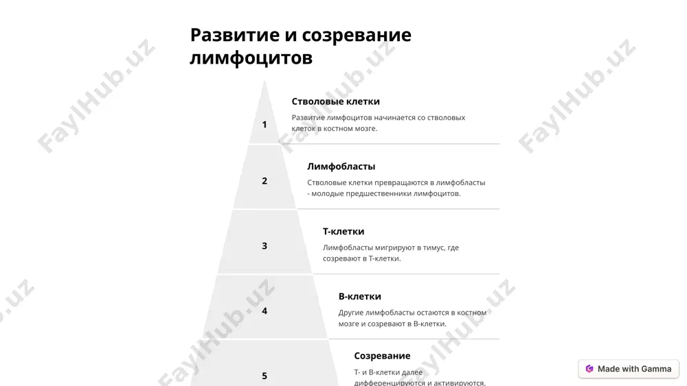 введение в иммунную систему - Page 5