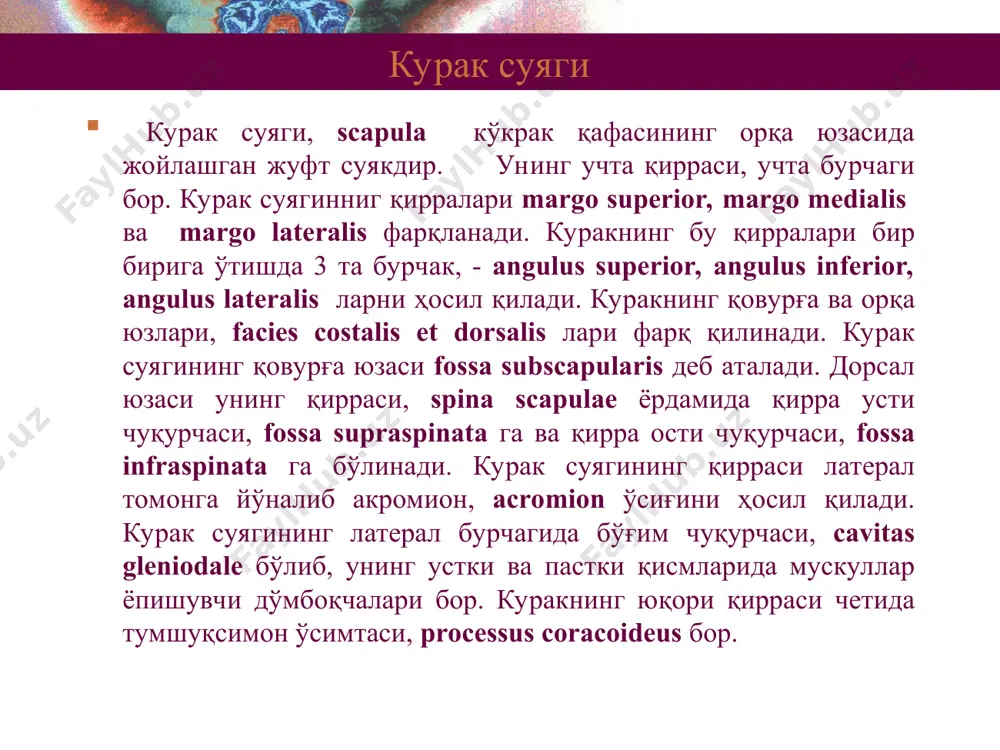 ғалтаги билан бўғим ҳосил қилади. тожсимон ўсимтанинг билак суяги томонида шу суякнинг бошчаси бўғим ҳосил қилувчи кемтиги incisura radialis, ўсиқнинг олд юзасида эса ғадир будирлик, tuberositas ulnae бўлиб, бу ерга m. brachialis нинг пайи келиб ёпишади. тирсак суягининг дистал эпифизида унинг бошчаси, caput ulnae бўлиб, унинг медиал томонидан бигизсимон ўсиқ, processus styloideus ўсиб чиққан. суякнинг бошида билак суяк билан бўғим ҳосил қилувчи гир айланаси circumferentia articularis бор. тирсак суягининг проксимал қисми билак ва тирсак суяклари билак суяги билак суяги - radius билак суяги тирсак суягига тескари ўлароқ, дистал эпифизи йўғонроқ. суякнинг проксимал учида бошчаси, caput radii бўлиб, елка суягининг бошчаси билан бўғим ҳосил қилувчи ясси чуқурчаси. бошчанинг ён юзасининг ярми circumferentia radii билан эгалланган бўлиб, тирсак суягининг кемтиги билан бирлашади. суякнинг бўйни collum radii ингичкароқ. унинг олд ва тирсак томонида ғадир будирлик tuberositas radii жойлашган. унга елканинг икки бошли мускули пайи ёпишади. дистал эпифизнинг латерал томони бигисимон ўсиқ processus styloideusга …