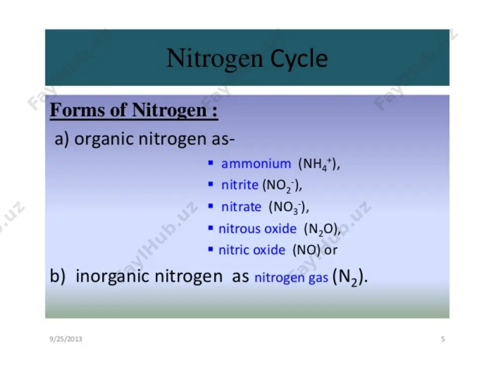 nitrogen cycle - Page 4