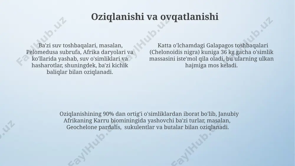 a ekanligiga ishonishgan, ba'zi qabilalar 7 ta toshbaqa qobiqchasini himoya taqvosini yaratish uchun ishlatishgan. tahdidlar va xavflar toshbaqalar sonining kamayishiga 20 dan ortiq turdagi parazitlar va 30% ga yaqin yashash joylarining yo'qolishi, masalan, o'zbekistonning qoraqalpog'iston respublikasidagi cho'llarning qisqarishi sabab bo'lmoqda. 1990-yillardan beri jahon miqyosida 15 ga yaqin toshbaqa turi yo'qolib ketish xavfi ostida, jumladan, markaziy osiyo mintaqasidagi 5 ta noyob tur kritik ahvolda. toshbaqalarni noqonuniy ovlash va savdosi, ayniqsa, 2000 yildan keyin xitoy va vetnam kabi davlatlarda katta miqyosda o'sgan, bu esa ularning populatsiyasiga jiddiy tahdid soladi. toshbaqalarni muhofaza qilish 2023-yilgi ma'lumotlarga ko'ra, markaziy osiyoda 10 dan ortiq toshbaqa turi yo'qolib ketish xavfi ostida bo'lib, ularning muhofazasi uchun xalqaro hamkorlik zarur. toshbaqalar populyatsiyasining 30% dan ortig'i o'zbekistonning qizilqum cho'lida, suv resurslarining kamayishi va yashash joylarining yo'qolishi tufayli tahlikada. toshbaqalarning noqonuniy ovlanishi va savdosi, ayniqsa, qoraqalpog'iston respublikasida 5 yildan ortiq muddatga qamoq jazosi bilan jazolanadi, lekin bu jinoyatchilikni to'liq bartaraf etmaydi. …