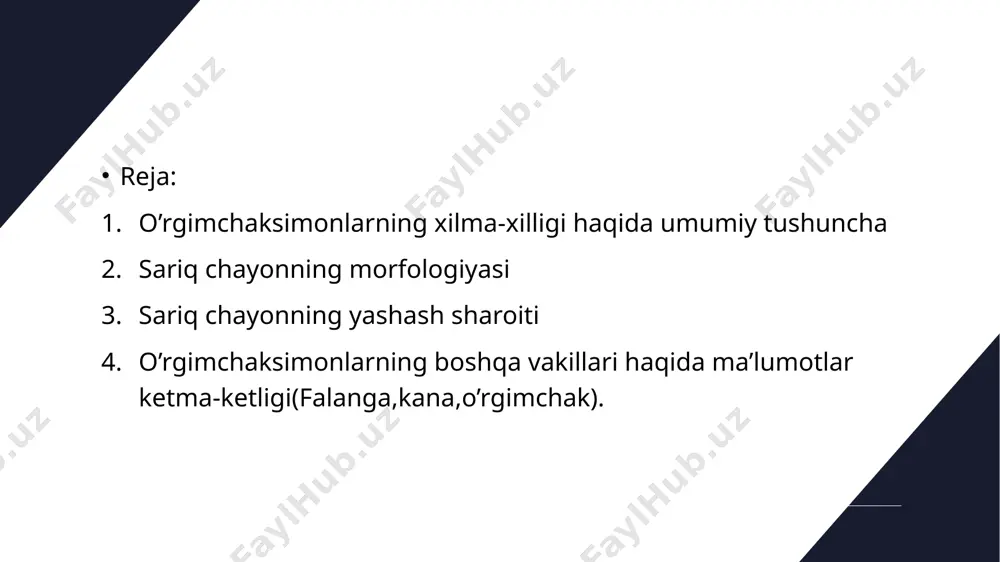 vfli emas, lekin tropik olkalarda tarqalgan chayonlar zahari odamlar, ayniqsa bolalarga kuchli ta’sir ko‘rsatadi. chayonlar issiqsevar. janubiy mintaqalarda keng tarqalgan yirtqich hayvonlar. ular kunduzi toshlar ostiga yoki boshqa rana joylarga yashirinib olib, lunda ovga chiqadi. chayonlar - eng qadimgi orgimchaksimonlar. ulaming 600 ga yaqin turi m'lum. ko‘pchilik turlaii mayda. 0 ‘rta osiyo hududida keng tarqalgan chipor chayon - buthus eupeus uzunligi 6,5 sm ga yetadi. soxta chayonlar (pseudoscorpiones) turkumi. tuzilishi chayonlarga o'xshash, lekin juda mayda (1-12 mm) bo‘ladi. qomi 11 bo‘g‘imdan iborat, pedipalpasi qisqichga o‘xshaydi. xelitserasining harakatchan bo‘g imi uchiga to r bezlari y o ii ochiladi ular bu bezlar suyuqligidan in qurish uchun foydalaniladi. ikki juft traxeyalari yordamida nafas oladi. soxta chayonlar urg'ochisi spermatoforlar yordamida urug‘lanadi. buning uchun erkak va urg'ochi chayonlar bir-biriga qarama-qarshi turib oladi erkagi jinsiy teshigidan sperma bilan toigan shilimshiq suyuqlik chiqaradi. suyuqlik qotib, spermatoforni hosil qiladi. urg‘ochisi spermatofomi pedipalpasi bilan olib, jinsiy teshigiga kiritadi. urugiangau …