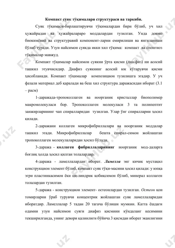 т суяк тўқи-масини ҳосил қилади: у юпқа эгри пластинкасимон ёки ци-линдрик қобиқсимон бўлиб, минерал коллаген толалардан тузилган. 5-даража - конструкцион элемент- остеонлардан тузилган. остеон қон томирларни ўраб турувчи концентрик жойлашган суяк ламеллаларидан иборатдир. ламеллалар 5 тадан 20 тагача бўлиши мумкин. катта ёшдаги одамни узун найсимон суяги диафиз қисмини кўндаланг кесимини текширилганда, унинг девори қалинлиги бўйича 3 қисмдан иборат эканлигини кўришимиз мумкин, яъни ички, ўрта ва ташқи қисмлар. ички ва ташқи қисмлар умумий ламеллалардан ва ўрта қисм остеон-лардан тузилган. суяк моддасини 3 хил ҳужайраси мавжуд: остеобластлар, остеоцитлар, остеокластлар. остеобласт ҳужайралари суякнинг юза қисмида жойлашган бўлиб, суяк ҳосил бўлишида иштирок этади. унинг цитоплазмасида асосий органик моддалар коллаген ва полисохоридлар синтезланади. ривожланишнинг маълум босқичида ушбу ҳужайралар хужайралараро моддалар ичида алохида ажралган ҳолда кўпайиш хусусиятини йўқота бошлайди ва остеоцитларга айланади. бунда ҳужайралараро моддалар боғловчи моддаларни кўпайиши сабабли зичлашади. остеобластлар токли кўпбурчакли ёки эллиптик кўринишда бўлиб, ўлчами 15-20 мкм.ни ташкил этади. остеоцитлар суяк каналчалари билан …