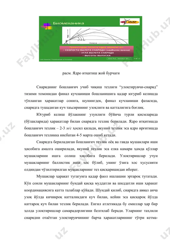 ) сифатида қаралса, снаряднинг учиш узоқлиги куч градиентига ва снарядга кучланиш бериш йўлининг узунлигига боғлиқ. айни пайтда, тезкорлик – инсоннинг ҳаракатларни маълум бир шароитлар учун минимал вақт оралиғида бажариш қобилиятидир. шунинг учун куч қанча катта тезлик билан ўсиб борса, тезкорлик шунча катта бўлади. бошқача айтганда, тезкорлик куч градиентига боғлиқ. улоқтиришларда кучнинг ўсиб бориши снаряд ва тана қисмларининг ҳаракати билан кузатилиши туфайли ушбу ҳолда тезкорлик кучнинг ўсиш тезлиги ёки куч градиенти ҳисобланади. бу ерда v – тезлик, f – куч, t – кучнинг ўсиб бориш вақти. агар куч градиентини тезлик-куч индекси билан ўлчасак, снарядга куч бериш йўли узунлигини техник маҳорат даражаси сифатида эътиборга олсак, охир-оқибат қуйидаги хулосага келамизки, спорт улоқтиришида натижа улоқтирувчининг тезлик-куч тайёргар-лигига ва техник маҳоратига тўғридан-тўғри боғлиқ. снаряднинг ҳаракат тезлигини ошириш учун шу нарса ўта муҳим саналадики, бутун йўл давомида кучланишлар ортиб бориши лозим. яъни, бутун йўл давомида мушакларнинг қатъий кетма-кетликда қисқариши ҳисобига эришиладиган тезланиш керак бўлади. мушакларнинг бундай …