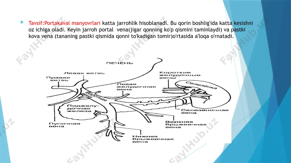 sh mumkin. aqsh da 90% holatlarda siroz bilan bog'liq. bazi pre-higar etiologiyalariga portal vena trombozi, arteriovenoz oqmalar va taloq venalari trombozi kiradi. intrahepatik sabablarga bilamchi biliar siroz,siroz, infiltrativ jigar kasalliklari,polikistik jigar kasalliklari, venoz-okklyuziv kasalliklar kiradi.jigardan keyingi sabablariga budd-chiari sindromi,pastki vena kava vena torlari yoki trombozlar, konjestif yurak yetishmovchiligi,konstriktiv perikard kiradi, lekin ular bilan cheklanmaydi. image1.jpeg image2.png image3.jpeg image4.png image5.png image6.png image7.jpeg image8.jpeg image9.jpeg image10.png image11.png /docprops/thumbnail.jpeg