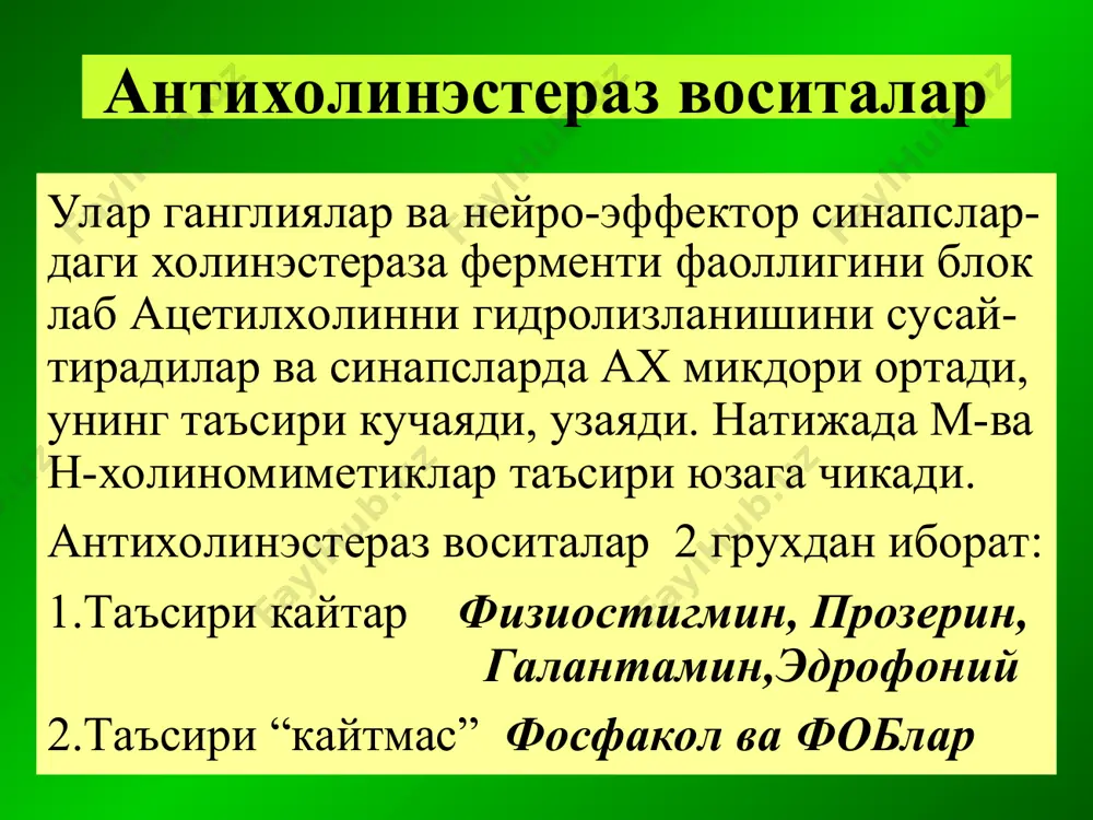 м-ва н- хрларга таъсир этувчилар - Page 5