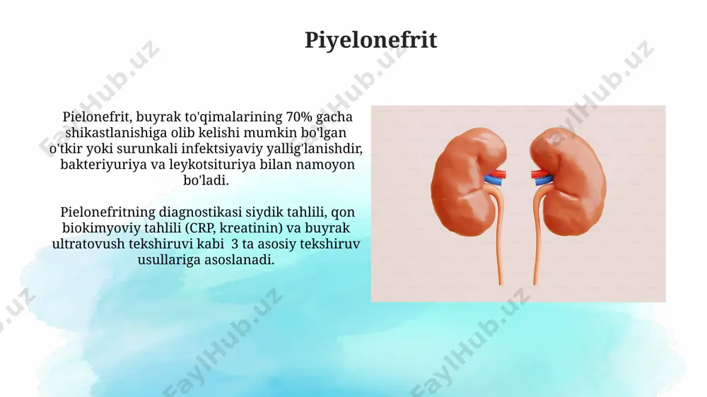 buyrak klirensi - Page 4