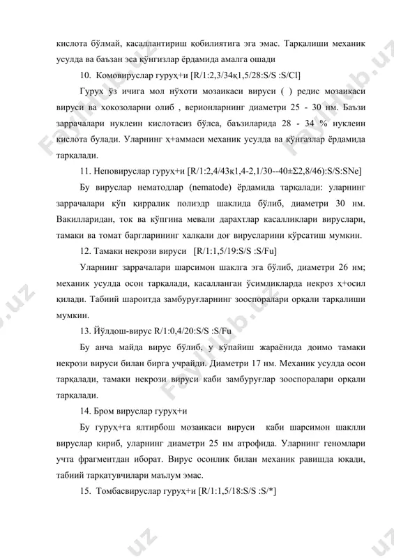 лар ширалар ёрдамида персиcтент усулда тарқатади. баъзи олимларнинг фикрича, улар ширалар организмида ҳ+ам кўпайиши мумкин. 17. икки ва ундан ортиқ беқарор заррачали вируслар. кўпгина мевали дарахтлар вируслари шу гуруҳ+га кириб, заррачаларининг диаметри 20-35 нм, заррачада 15 - 20% рнк бор. бу вирусларнинг баъзилари ўсимлик чанглари ёки уруғлари ёрдамида юқади. уларнинг тарқатувчилари аниқланмаган. вирионлари 3 хил зичликка эга, заррачалардаи иборат. фракцияларга ажратилмаган вирус препаратидан рнк нинг 3 хил асосий ва 2 минор фрагменти ажратилган. бу вируслар, олма мозаикаси вирусига серологик томонидан яқин. бу гуруҳ+га мансуб маълум вируслар иларвируслар (ilarvirus: isometric labile particles - беқарор изометрик зарралар,) гуруҳ+ига киритилади. 18. нўхот шаклининг ўзгариши мозаикаси вируси. [r/1:1,6/28қ1,3/28:s/s :s/ap] бу гуруҳ+ вируслари дуккакли ўсимликларни касаллантиради ва баргларида мозаика ва деформация каби симптомлар ҳ+осил қилади. икки қисмлик геномга эга. ширалар ва ўсимлик шираси ёрдамида соғ ўсимликка ўтади. заррачаларининг кўпгина хусусиятлари вируслариникига ўхшайди. 19. каулимовируслар гуруҳ+и [d/2:4,5/16:s/s :s/ap] бу гуруҳ+нинг энг яхши ўрганилган вакили гулкарам мозаикаси …