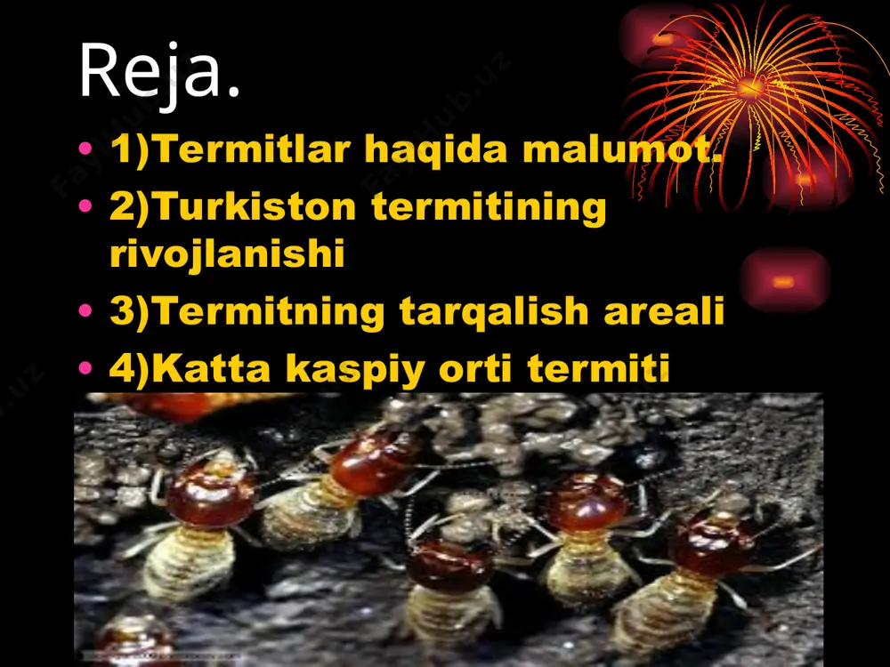 njiridagi rolini yaqqol namoyon qiladi.qurigan shox va poyalarni utilizatsiya qilishda ishtirok etadi. termitlarning ichki tuzilishi termitlar ularga qarshi kurashda bir qancha yo’llar mavjud ayrim joylarda esa ko’p tarqalganligi uchun wu maydonlarni yoqib yuboradilar termitlar hosil qilgan do’ngliklar rivojlanish stadiyasi