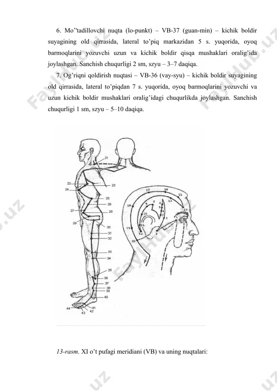 katta boldir suyagi orqa tomonidan yuqoriga ko’tariladi. tizza bo’g’imi sohasida son ichki tomoniga qayrilib, qorin sohasiga xi qovurg’aning erkin uchigacha ko’tariladi. u yerdan qovurg’a yoyi sohasi bo’ylab ko’tarilib, 6-qovurg’alararo oraliqda o’rtao’mrov chizig’idagi f-14 nuqtasida yakunlanadi. tashqi yo’l yon shoxlarga ega emas. meridianning ichki yo’li qorin pastki qismidan me'dagachaga va jigarga boradi. so’ngra o’t pufagi bilan bog’lanib yuqoriga – diafragmani kesib o’tib ko’krak qafasi, hiqildoq, xalqum, tomoq bo’ylab yurib ko’z sohasi bilan bog’lanadi. shu joydan tashqariga chiqib peshona, tepa sohasida vg-20 (bay-xuey) nuqtasida orqa o’rta meridian bilan bog’lanadi. ko’z sohasida shoxlanish lunjning ichki yuzasi bo’ylab yurib, lablarni aylanib o’tadi. yana bir shoxlanish jigardan boshlanib, diafragma va o’pkadan o’tib, vg-12 (chjun-van) nuqtasida tugallanadi va shu nuqtada o’pka meridiani bilan bog’lanadi. qo’llashga ko’rsatmalar: qorinning pastki qismidagi og’riqlar, erkaklar va ayollar jinsiy a'zolar kasalliklari, jinsiy a'zolar qichishishi, impotensiya, zakirdagi og’riq, hayz sikli buzilishi, jinsiy yo’llar oqmalari, bachadondan qon ketishi, bachadon va qin tushishi, siydik …