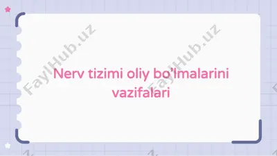 nerv tizimi oliy bo'lmalarini vazifalari — PPTX