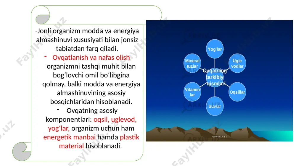 oratdir (53-rasm): birinchi bosqichda uglevodlardan – geksozalar, glyukoza, fruktoza, galaktoza: oqsillardan – aminokislotalar; yog‘lardan glitserin va yog‘ kislotalari hosil bo‘ladi. bu jarayonlarda ajraladigan energiya miqdori deyarli ko‘p emas va ozuqa moddalar umumiy energiyasining taxminan 0,6-1% ini tashkil qiladi. ikkinchi bosqichda monosaxaridlar va glitserin piruvatga aylanadi, yog‘ kislotalari esa – atsetil-koa ga, aminokislotalar – piruvatga, a ketoglutaratga, atsetoatsetat, suksinat va atsetil-koa ga aylanadi. bu bosqichda ozuqa moddalardagi taxminan 30% energiya ajralib chiqadi. 7 uchinchi bosqichda hosil bo‘lgan 4 ta oxirgi mahsulot: atsetil-koa, a-ketoglutarat, suksinat limon kislotasi siklida co2 va h2o gacha parchalanadi. natijada ozuqa moddalardan qolgan 60-70% energiya ajralib chiqadi. 1 molekula glyukozani parchalanishi misolida olib qaralsa, jami 38 molekula atf sintezlanadi, bundan 1-bosqichda – 2 molekula pirouzum kislotasi va 8 molekula atf sintezlanadi; 2-bosqichda – 2 molekula atsetil-koa, 2 molekula co2 va 6 molekula atf sintezlanadi; 3 bosqichda – 4 molekula co2 va 24 molekula atf hosil bo‘ladi. limon kislota …