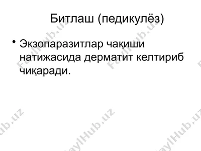 битлаш (педикулёз) — PPTX