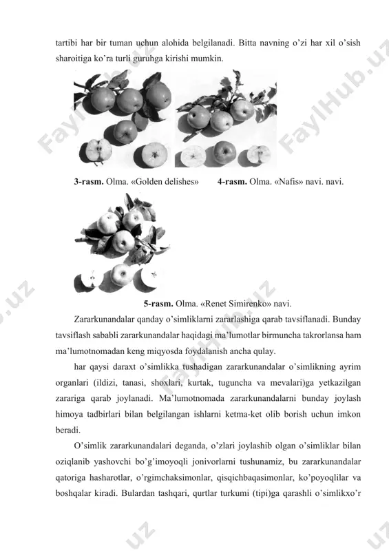 lar yana yiriklashadi, rangi va hidi yaxshilanadi. kechki mevalar qishda yaxshi saqlanadi. ularning ba’zilari masalan: «zolotaya grayта», «renet simirenko» ancha vaqt buzilmay turadi. yetilish muddatlariga ko’ra meva navlarini guruhlarga bo’lish tartibi har bir tuman uchun alohida belgilanadi. bitta navning o’zi har xil o’sish sharoitiga ko’ra turli guruhga kirishi mumkin. 3-rasm. olma. «golden delishes» 4-rasm. olma. «nafis» navi. navi. 5-rasm. olma. «renet simirenko» navi. zararkunandalar qanday o’simliklarni zararlashiga qarab tavsiflanadi. bunday tavsiflash sababli zararkunandalar haqidagi ma’lumotlar birmuncha takrorlansa ham ma’lumotnomadan keng miqyosda foydalanish ancha qulay. har qaysi daraxt o’simlikka tushadigan zararkunandalar o’simlikning ayrim organlari (ildizi, tanasi, shoxlari, kurtak, tuguncha va mevalari)ga yetkazilgan zarariga qarab joylanadi. ma’lumotnomada zararkunandalarni bunday joylash himoya tadbirlari bilan belgilangan ishlarni ketma-ket olib borish uchun imkon beradi. o’simlik zararkunandalari deganda, o’zlari joylashib olgan o’simliklar bilan oziqlanib yashovchi bo’g’imoyoqli jonivorlarni tushunamiz, bu zararkunandalar qatoriga hasharotlar, o’rgimchaksimonlar, qisqichbaqasimonlar, ko’poyoqlilar va boshqalar kiradi. bulardan tashqari, qurtlar turkumi (tipi)ga qarashli o’simlikxo’r nematodalar; …