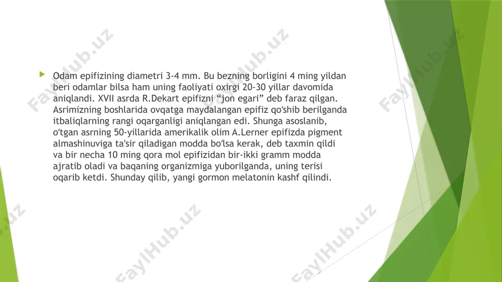 epifizbezining fiziologiyasi - Page 4