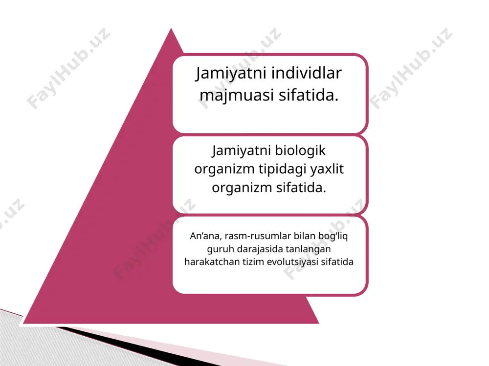 spenser va uning tarixiy evolyutsion sotsiologik sxemasi - Page 4
