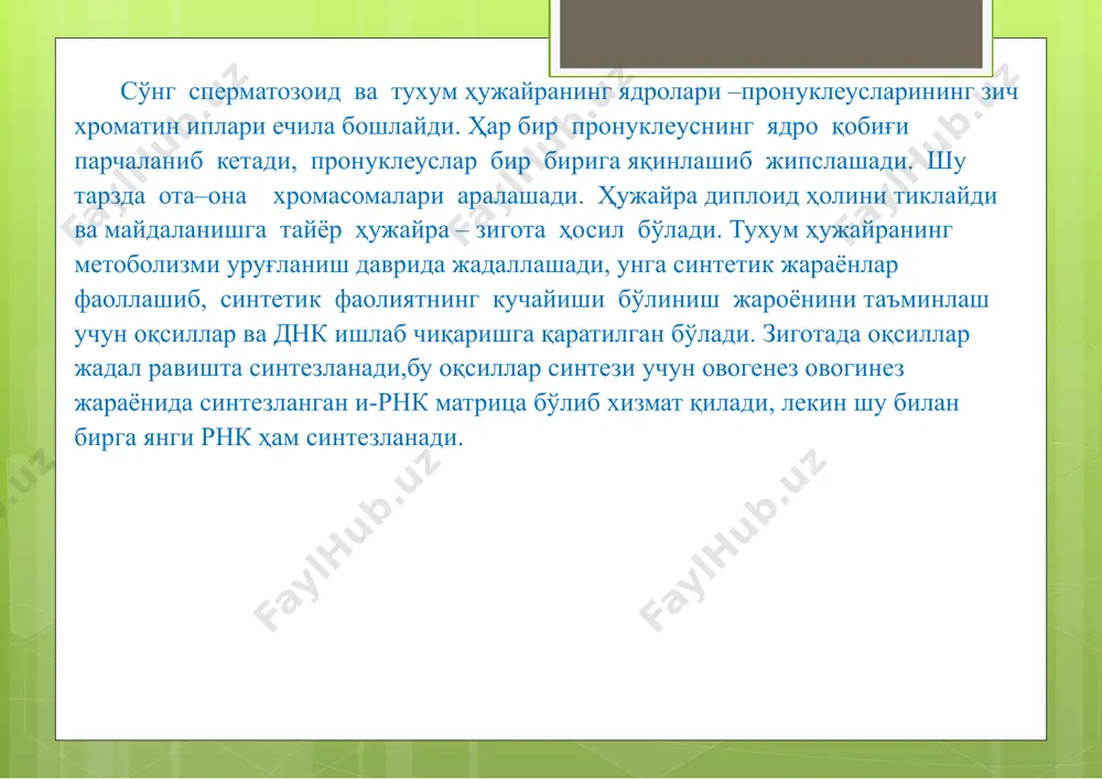 са, мезодермадан хусусий тери- дерма ҳамда тери ости қатлами-гиподерма вужудга келади. эътиборингиз учун рахмат image2.png image3.png image4.png image5.png image6.png image7.png image8.png image9.png