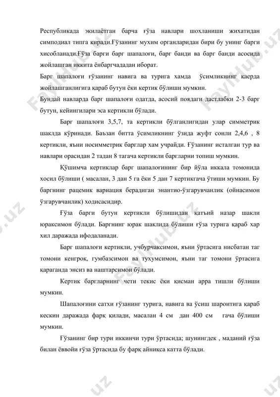ғиш баргли ғўзалар хам учрайди. ўрта толали ғўза навлари барги у ёки бу даражада оч яшил тусда бўлади. барча турдаги ғўзаларнинг барги ости ва усти маълум даражада туклар билан қопланаган. бу туклар томирлар бўйлаб жойлашади ва ғўза навларига қараб қисқа, узун ёки хар иккаласи хам бир ярусли ёки икки ярусли тукланиш бўлиши мункин.шунингдек баргнинг остки сатхида 245-250 та ва устки сатхида 115-128 тагача оғизча (тешикча) лари бûлади. деярли барча ғўза навларида баргнинг орқа томонидаги оғизчалар устки томонидагилардан тахминан 2 марта кўп бўлади. баъзи ғўза навларида,айниқса, ўсув даврининг охирида барги кўп тўкилади, баъзиларида эса ўсув даврининг охирига келиб барглар деярли қолмайди. лекин селекция ишлари олиб бориш йўли билан кузда ғўза баргининг тўкилишини бирмунча тезлаштириш мумкин. хозирда селекционерлар бу сохада изланиш олиб бормоқда. ғўза гуллари икки жинсли, гул органлари бешта доира бўйича бештадан жойлашган. гулининг асосида гулбанд бўлиб, кейинчалик у мева бандига айланади. гулбанднинг юқори қисмида гулнинг бошқа хамма элементлари жойлашади: ташқи …