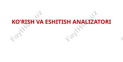 ko’rish va eshitish analizatori — PPTX