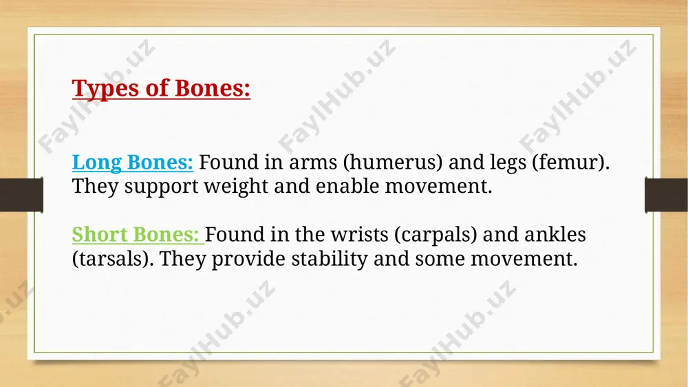 bones anatomy and physiology - Page 4