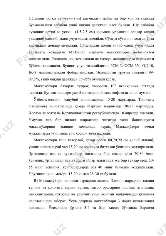а йиғиб олинади, ер экишга тайёрланади ва уруғ экилгандан сўнг суғорилади. умуман маккажўхори такрорий экин сифатида экилганда унинг агротехникаси бахорда экилгандагига нисбатан кам фарқ қилади. фақат маккажўхорининг эрта пишар нав ва дурагайлари экилиши керак. ўзбекистонда хозирги вақтда перекоп тв ва ўзбекистон-306 мв эртапишар дурагайлари экилмоқда. бу дурагайлар такрорий экин сифатида экилганда 35-50 центнергача дон беради. д) хосилни йиғиб олиш. маккажўхори силос учун экилганда донининг сут-мум пишиш даврида ўпилади. бунда кск-100, викр, кс-1,8 комбайинлари ишлатилади. дон учун экилган маккажўхори дони тўла пишганда, сўта қаторлари қуриганда йиғиштириб олинади. бунда махсус комбайнлар херсонец-200, херсонец-7 ишлатилади. бу комбайнлар маккажўхорини ўриш, поясини майдалаш, сўталарни поядан ажратиб олиш ва уларни қобиғини арчиш каби ишларни бир йўла бажаради. сўталар эса хўжаликда оддий молотилка ёки комбайнда янчилади. адабиётлар: 1.г.с.посўпанов растениеводства м.колос. 1997 172-183 бетлар. 2.х.н.атабаева, з. умаров, х.ч.бўриев ва бошқалар ўсимликшунослик т.мехнат-2000, 90-97 бетлар.