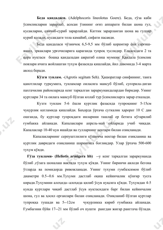 услидир. елкасидаги 2 та қора нуқтаси бошқа қандаладан ажратиб олиш мумкин. қандала ўсимлик поялари ичига жойлашган тухум фазасида қишлайди, йил давомида 3-4 марта авлод беради. кўзги тунлам. -(agrotis segitum seh). ҳашоратлар синфининг, танга қанотлилар туркумига, тунламлар оиласига мансуб бўлиб, суғорила-диган пахтачилик районларида кенг тарқалган зараркунандалардан биридир. унинг қуртлари 34 та оилага мансуб бўлган юзлаб тур ўсимликларга зарар етказади. кузги тунлам 5-6 ёшли қуртлик фазасида тупроқнинг 5-15см чуқурлик катламида қишлайди. баҳорда ўртача суткалик ҳарорат 10 с дан ошганда, бу қуртлар тупроқдаги инларини ташлаб ер бетига кўтарилиб ғумбакка айланади. капалаклари апрель-май ойларида учиб чиқади. капалаклар 10-40 кун яшайди ва гулларнинг нектари билан озиқланади. капалакларнинг серпуштлилиги қўшимча нектар билан озиқланиш ва қуртлик давридаги озиқланиш шароитига боғлиқдир. улар ўртача 500-600 тухум қўяди. ғўза тунлами- (heliotis armigera hb) --у кенг тарқалган зараркунанда бўлиб ,ғўзага шоналаш вақтида тухум қўяди. унинг биринчи авлоди бегона ўтларда ва помидорда ривожланади. унинг тухуми гумбазсимон бўлиб диаметри 0.5--0.6 мм.тухуми дастлаб оқиш …