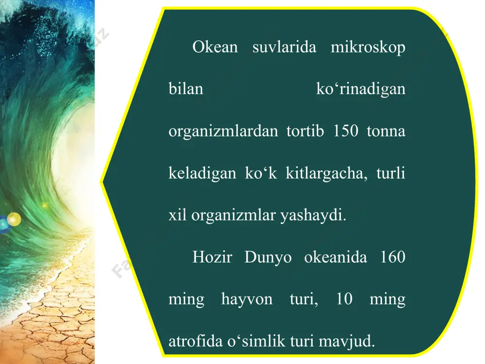 okean boyliklari, ulardan foydalanish va muhofaza qilish 6-sinf - Page 4