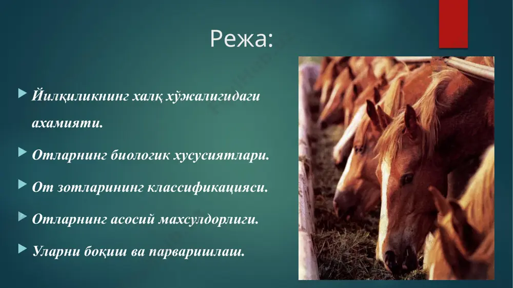истон, бурятия, ёқутистон автоном республикаларида яхши ривожланган. отларнинг айрим биологик хусусиятлари. отлар авлоди асосан тўртта кенжа авлодга бўлинади: хақиқий отлар, эшаклар, қулонлари ва зебралар. бу кенжаи авлодлар бир-бирлари билан чатиша олади ва пуштсиз насл беради. зебралар хозир хўжалик ахамиятига эга эмас, уларни айрим хайвонот боғларида ёки қўриқхоналарда учратиш мумкин. хусусан ўзбекистонла эса қулонлар йўқолиб кетган. айрим маoлумотларга қараганда улар қисман мўғулистонда ва жуда оз миқдорда туркманистоннинг жанубида жойлашган бадхиз қўриқхонасида сақланиб қолган от зотларининг классификацияси мамлакатимиз зоналарининг иқтисодий, ишлаб чиқариш ва табиий-экологик шароитларига, йилқиларнинг турли хил типлари, махсулот йўналиши ва улардан фойдаланиш усулларига қараб жуда кўплаб зот ва группалар яратилган. 1855 йили академик а.ф.миддендорф отларни барча хусусиятларини хисобга олган холда иккита катта группага - чопқир отлар ва секин хамда ўрта харакат қилувчи отларга бўлади. биринчи группага тез югурадиган, танаси ихчам, енгил, кичик араваларга қўшган вақтда узоқ масофани қисқа вақт ичида босиб ўтадиган от зотлари киритилган. иккинчи группага эса - секин …