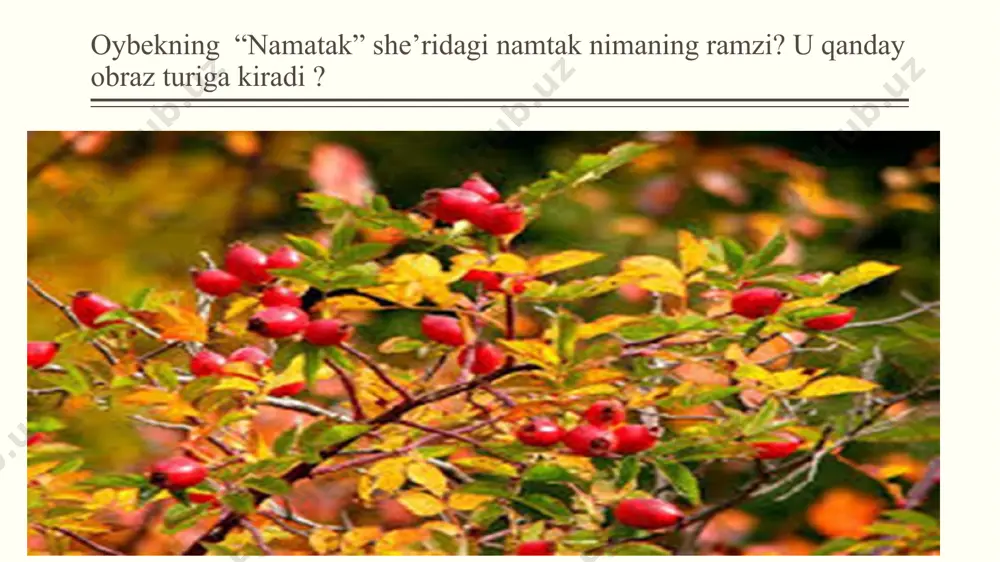 bu o`rinda qorishiqlik har ikki tipga xos eng yaxshi jihatlardan foydalanish asosida asarning badiiy mukammal bo`lishiga xizmat qiladi. 3-reja: syujet komponentlari ekspozitsiya tugun voqealar rivoji kulminatsiya yechim aql charxi 1264-inchi hijriy, dalv oyining o‘n yettinchisi, qishki kunlarning biri, quyosh botqan, tevarakdan shom azoni eshitiladir... darbozasi sharqi-janubiyga qaratib qurilg‘an bu dong‘dor saroyni toshkand, samarqand va buxoro savdogarlari egallaganlar, saroydagi bir-ikki hujrani istisno qilish bilan boshqalari musofirlar ila to‘la. saroy ahli kunduzgi ish kuchlaridan bo‘shab hujralariga qaytqanlar, ko‘b hujralar kechlik osh pishirish ila mashg‘ul, shuning uchun kunduzgiga qarag‘anda saroy jonliq: kishilarning shaqillashib so‘zlashishlari, xoxolab kulishishlari saroyni ko‘kka ko‘targudek. saroyning to‘rida boshqalarg‘a qarag‘anda ko‘rkamrak bir hujra, anovi hujralarga kiygiz to‘shalgani holda bu hujrada qip-qizil gilam, uttalarda bo‘z ko‘rpalar ko‘rilgan bo‘lsa, munda ipak va adras ko‘rpalar, narigilarda qora charog‘ sasig‘anda, bu hujrada sham yona-dir, o‘zga hujralarda yengil tabi’atlik, serchaqchaq kishilar bo‘lg‘anida bu hujraning egasi boshqacha yaratilishda. og‘ir tabi’atlik, ulug‘ g‘avdalik, ko‘rkam va oq yuzlik, …
