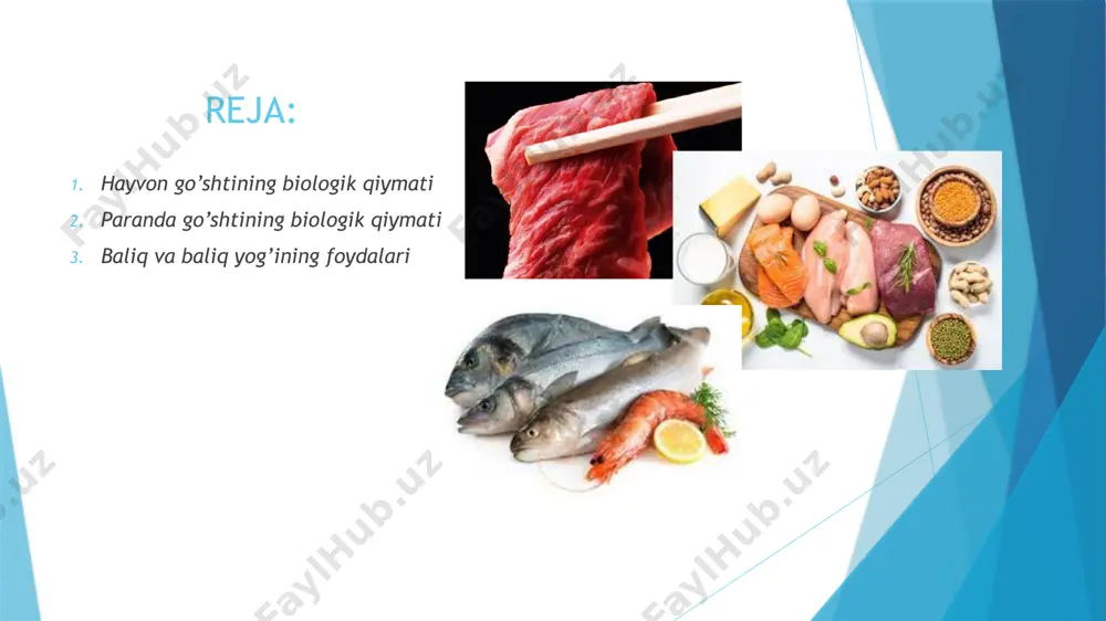 lastik va energetik moddalar bilan ta'minlashda hayotiy ahamiyat kasb etadi. go'sht oqsillari o'simlik oqsillaridan binnuncha yuqori turadi. binobarin, hayvonlaming oqsili va yog'lari odamlaming kundalik ratsionida ancha salmoqli o'rin egallaydi. shuning uchun ham odamlaming hayvon oqsili va yog'iga bo'lgan talabi kun sayin ortib bonnoqda. shunga ko'ra, o'zbekistonda go'sht va sut sanoatining rivojlanishiga katta ahamiyat berilmoqda. hukumatimiz qarorlarida sut va go'sht mahsulotlari yetishtirishni oshirish bilan birga ulaming sifatini yaxshilash, turlarini ko'paytirish, tannarxini arzonlashtirish masalalari o'z aksini topgan. shuningdek, yen3 gil sanoatimiz uchun muhim xom ashyo hisoblangan hayvon terilari, mo'ynasi, juni va hokazolaming sifati ham yaxshilanishi lozim. paranda go’shtining biologik qiymati parrandachilik go'shtidan eng oson hazm bo'ladigan va yuqori sifatli oqsillarni olish mumkin. ayniqsa, oq go'sht, ko'pincha parhez ovqatlanishida ishlatiladi. uning kalorifik qiymati 113 ta, oqsil miqdori boshqa barcha go'sht turlarida o'z sonidan oshib ketadi va 23,8% ni tashkil qiladi. parranda go‘shtlari kam miqdorda biriktiruvchi to‘qimali oqsil tutadi. masalan, ko‘krak muskullarida 92% (to‘liq) …