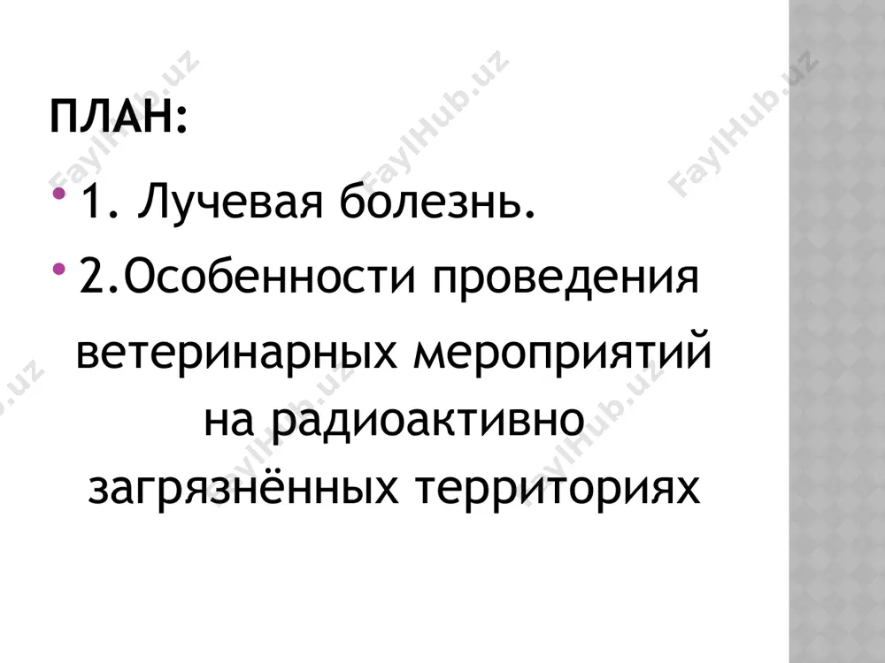 норма слабая преходящая гиперемия умеренная гиперемия выраженная гиперемия продолжит. первичной реакции несколько часов 1 сутки 2-3 суток 2-3 суток 13 на опыте чернобыльской катастрофы были разработаны простые, объективные тесты оценки состояния и жизнеспособности животных (о. а. булычев, в. а. бударков, н. и. архипов, а. в. васильев, и. я. василенко, р. г. ильязов и др.). согласно этой методике необходимо при сортировке выявлять животных с нарушением органов дыхания, с ректальной температурой ниже 37°с, с содержанием лейкоцитов в венозной крови ниже 5,0 тыс. в 1мм3, толщиной кожной складки в области шеи более 12 мм, длиной волос на холке более 80 мм и курчавостью. после распада короткоживущих радионуклидов и стабилизации радиационной обстановки основной задачей ветеринарной службы является проведение мероприятий, направленных на снижение заболеваемости крупного рогатого скота от вирусных и бактериальных инфекций, на профилактику нарушений иммунной системы, а также болезней обмена веществ и незаразной этиологии. в этот период все ветеринарно-санитарные мероприятия проводят по инструкциям, правилам …