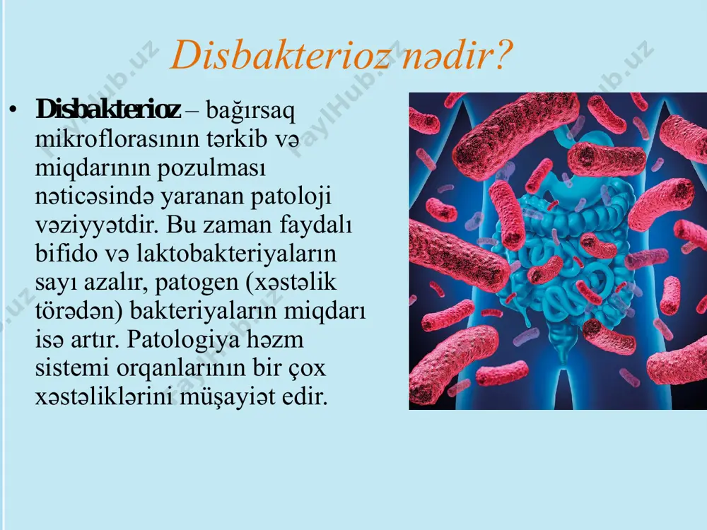 rosesinin pozulması metabolik substratların defisiti – zülal-enerji çatışmazlığı, hipovitaminozlar (ilk növbədə b qrup vtaminləri üzrə), anemiya, ion balansının pozulması, kalsium defisiti və s. ilə təzahür edir; • orqanizmin intoksikasiyası – halsızlıq, iştahsızlıq, subfebrilitet, baş ağrıları; • i̇mmunitetin zəifləməsi – infeksion xəstəliklərin (krx, krvi̇, herpes) tez-tez təkrarlanması, göbələk infeksiyaları. disbakteriozun diaqnostikası 1. i̇lk növbədə xəstənin şikayətləri əsasında xarakterik dispeptik pozğunluqlar aşkar edilir, fizikal baxış keçirilir. disbakteriozun əlamətləri bir qayda olaraq, birincili patologiya fonunda təzahür edir. mikrofloranı zəiflədən preparatlarla müalicə faktına xüsusi diqqət yetirilir. 2. bağırsaq disbakteriozunun laborator diaqnostikasının ən spesifik metodları disbakterioza görə analiz və nəcisin bakterioloji əkilməsidir. nazik bağırsağın disbiozu acı bağırsağın sıyrıntısının və ya aspiratının bakterioloji müayinəsi ilə aşkarlanır. lakin bu üsulun mürəkkəb olması onun tətbiqini məhdudlaşdırır. koproqramma, nəcis kütlələrinin biokimyası, qaz-maye analizi disbakteriozun dolayı əlamətlərini nümayiş etdirir. disbakteriozun müalicəsi • patogenetik terapiya ilkin patologiyaya qarşı yönəldilir. bundan əlavə bağırsağın motor funksiyasının bərpasına və iltihabın ləğvinə istiqamətləndirilən tədbirlər həyata …