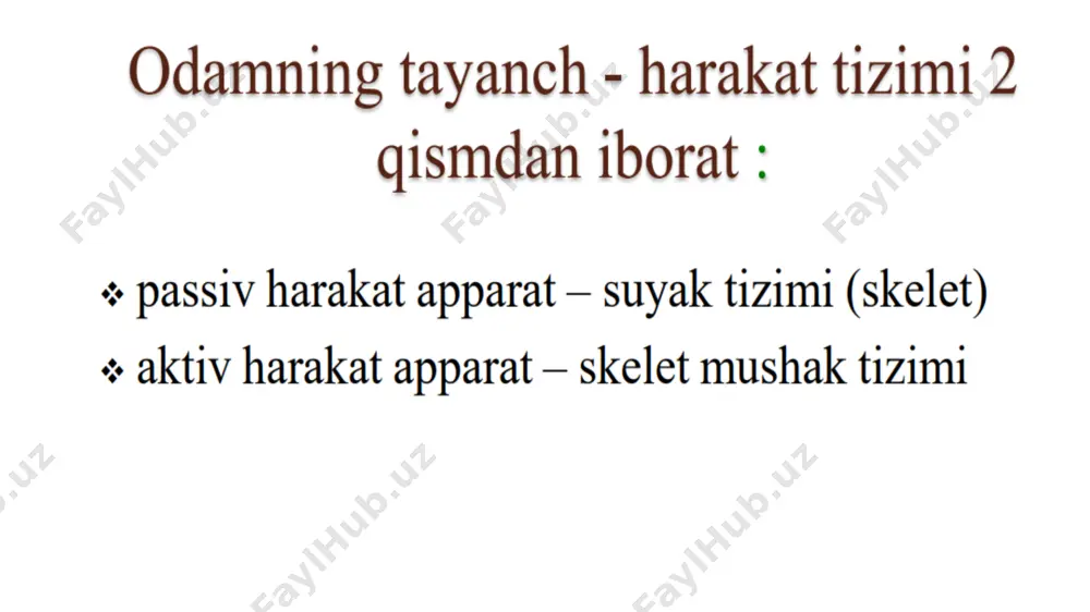 tayanch harakatlanish tizimi - Page 4