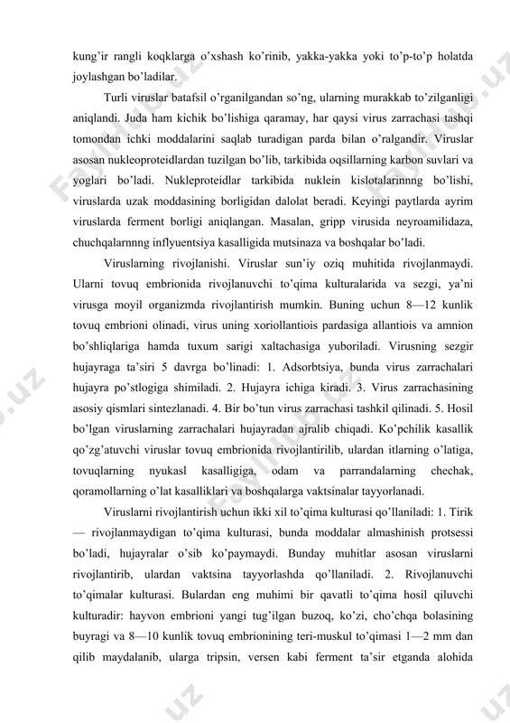 . bunday muhitlar asosan viruslarni rivojlantirib, ulardan vaktsina tayyorlashda qo’llaniladi. 2. rivojlanuvchi to’qimalar kulturasi. bulardan eng muhimi bir qavatli to’qima hosil qiluvchi kulturadir: hayvon embrioni yangi tug’ilgan buzoq, ko’zi, cho’chqa bolasining buyragi va 8—10 kunlik tovuq embrionining teri-muskul to’qimasi 1—2 mm dan qilib maydalanib, ularga tripsin, versen kabi ferment ta’sir etganda alohida hujayralarga ajraladi. ajralgan hujayralarni ma’lum miqdorda maxsus muhitga aralashtirib neytral reaktsiyali probirkalarga qo’yilsa, hujayra​lar shisha devoriga yopishib, asta-sekin rivojlana boshlaydi va natijada bir qavatli to’qima hosil bo’ladi. bu to’qima birinchi hosil bo’lgan bir qavatli to’qima kulturasi deyiladi. bundan tashqari, ushbu to’qimadan tayyorlangan subkultura (har qanday birinchi hosil bo’lgan bir qavatli to’qima kulturasidan 4—5, ayrim vaqtlarda 20 martagacha ko’chirilib, yangi bir qavatli to’qima hosil qiluvchi kultura), uzluksiz kuchiriluvchi bir qavatli to’qima kulturasi (bu ma’lum sharoitda va maxsus muhitda tanlangan hujayralardan hosil qilingan bir qavatli to’qimani uzluksiz ko’chirib ekib olinadi) va diploidli to’qima (buni tayyorlashda tarki​bida bir juft xromosomalari bo’lgan …