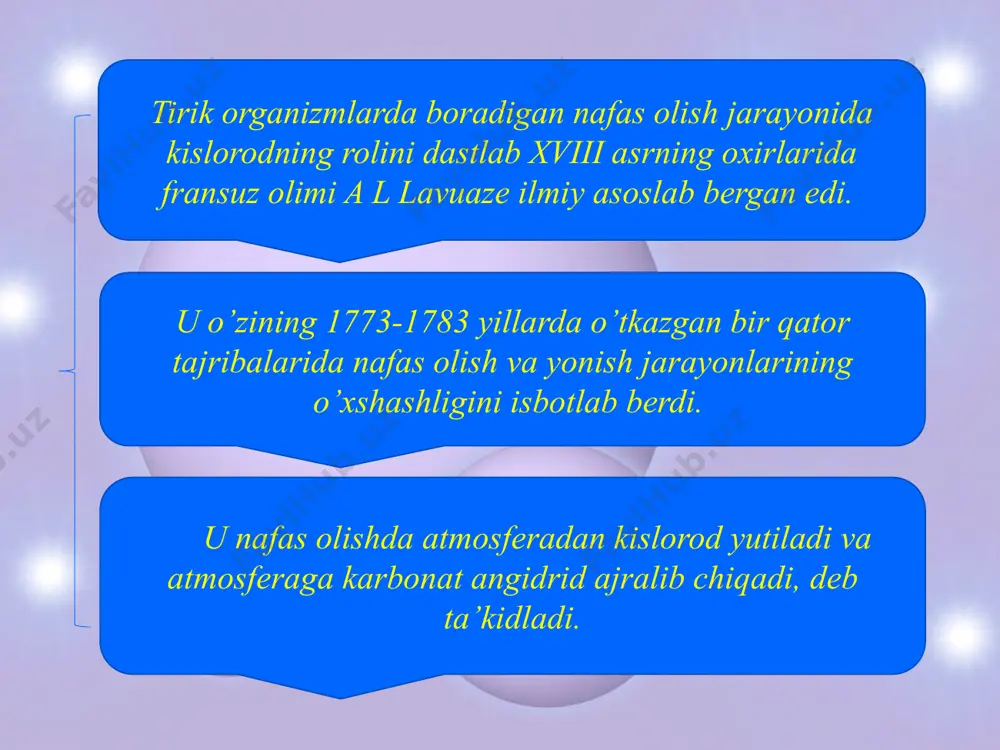 о‘simliklarning nafas olishi - Page 3