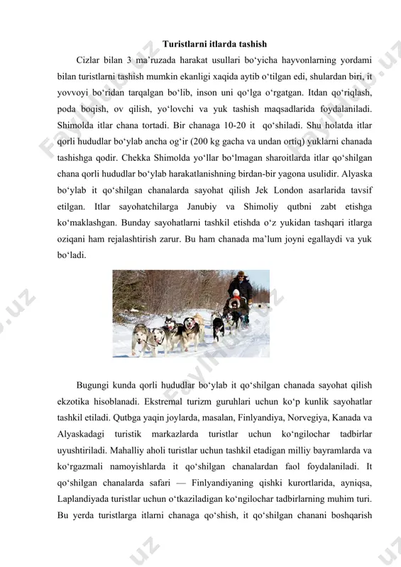 nzilni it qo‘shilgan chanada bosib o‘tish yoki hatto 300-400 km ga sayohat qilish ko‘zda tutilgan turlar ham bor. safar oxirida turistlarga (tabiiyki, ma’lum haq evaziga) it qo‘shilgan chana haydovchi sertifikati beriladi. itlardan sayohatlarda ov qilish va qo‘riqlash maqsadlarida ham faol foydalaniladi. itlarning dekorativ zotlari ham mavjud. ko‘ngilochar tadbirlar qatorida it poygalari o‘tkaziladi. milliy va xalqaro it ko‘rgazmalari ham muhim ko‘ngilochar tadbir hisoblanadi. mazkur tadbirga tashrif buyurgan tomoshabinlarga xizmat ko‘rsatishdan tashqari, turistik tashkilotlar zimmasiga ishtirokchi-turistlar va ularning itlariga xizmat ko‘rsatish majburiyati ham tushadi. ba’zan puldor turistlar sayohatga o‘z itlari bilan birga chiqadi. mehmonxonalarda mijozlarning itlarini saqlash uchun maxsus joylarni hamda ularni tashish shartlarini ko‘zda tutish sayohatlar tashkil etishda muhim ahamiyatga ega. ko‘rlarni yetaklab yurish, favqulodda hollar (zilzila, ko‘chki tushishi, avariya va h.k.)da va qutqarish tadbirlarida odamlarni qidirish itlarning muhim funksiyalaridan biri hisoblanadi. mexanik transport vositalaridan foydalanishda itlarni tashish masalasi ko‘ndalang bo‘ladi, ularni transportda (masalan, temir yo‘lda, samolyotda va shu kabilarda) tashishning …
