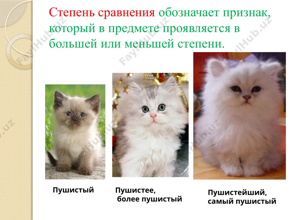 как сравнить предметы по качеству. 6 -sinf - Page 3