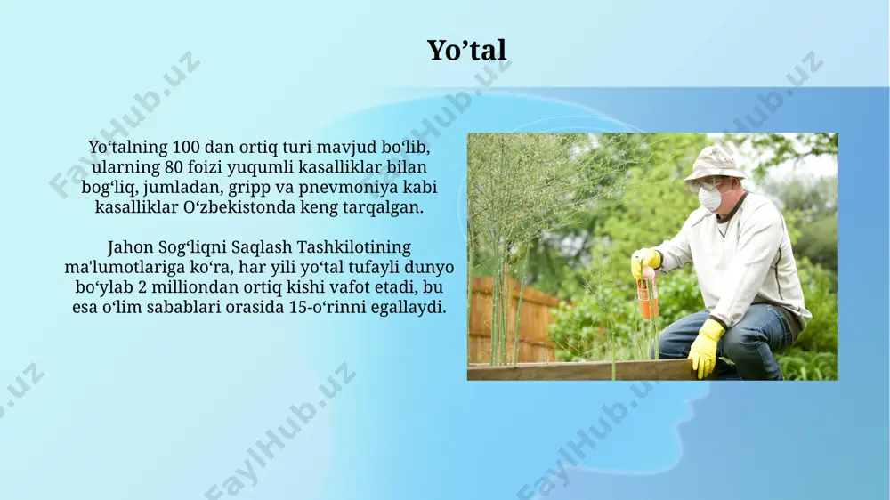 b, bemorlarning 70% dan ko'prog'ida surunkali obstruktiv o'pka kasalligi (sook) bilan bog'liq. tuberkulyoz jahon sog'liqni saqlash tashkiloti ma'lumotlariga ko'ra, o'zbekistonda giyohvandlik bilan bog'liq tuberkulyoz holatlari soni 20% dan yuqori bo'lib, bu multi-dori chidamli tuberkulyoz xavfini oshiradi. tb ning 1990-yillardan keyin o'zbekistonda tarqalishi sezilarli darajada kamaygan bo'lsa-da, hali ham 100 000 kishiga 30 dan ortiq holat qayd etiladi, bu yuqumli kasalliklar soni bo'yicha yuqori ko'rsatkich hisoblanadi. nafas olishning qiyinlashuvi nafas olishning qiyinlashuvi ko'pincha baland tog'li hududlarda, masalan, and tog'lari yoki himoloylarda, balandlik kasalligi tufayli kuzatiladi va bu odatda 2500 metrdan yuqori balandliklarda uchraydi. nafaqat o'pka kasalliklari, balki yurak yetishmovchiligi yoki hatto anemiya kabi holatlar ham nafas olishning qiyinlashuviga, dispneaga, olib kelishi mumkin, bu butun dunyoda taxminan 200 million kishini qamrab oladi. nafaas olish a’zolari kasalliklari turlari surunkali obstruktiv o'pka kasalligi (sook), 55 yoshdan oshgan 10 kishidan 1tasida uchraydi va chekish, iflos havo va genetik omillar kabi bir nechta sabablar bilan bog'liq …
