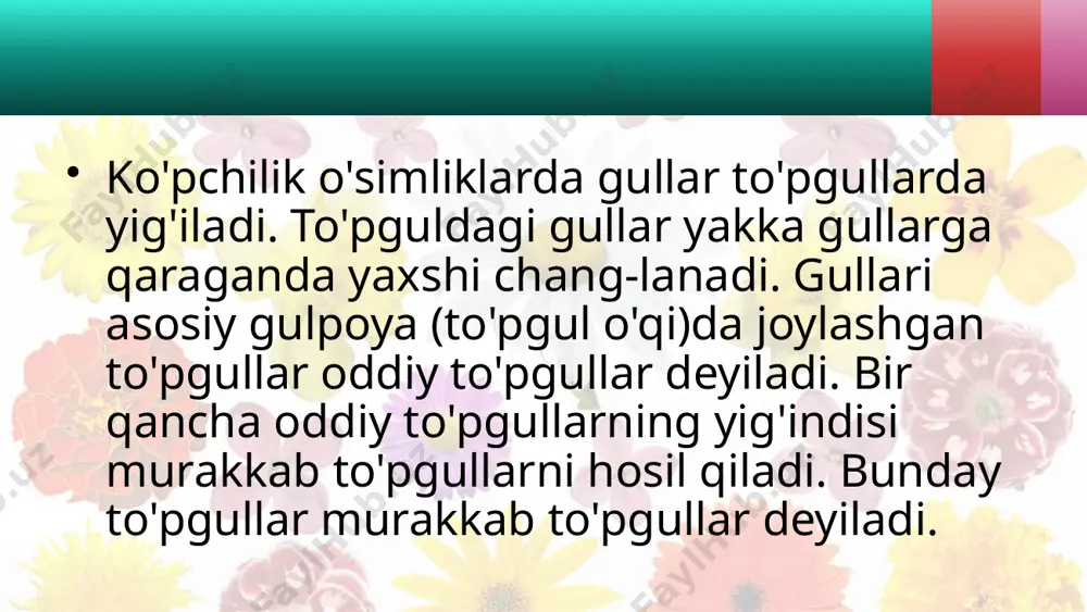 topgullar - Page 4