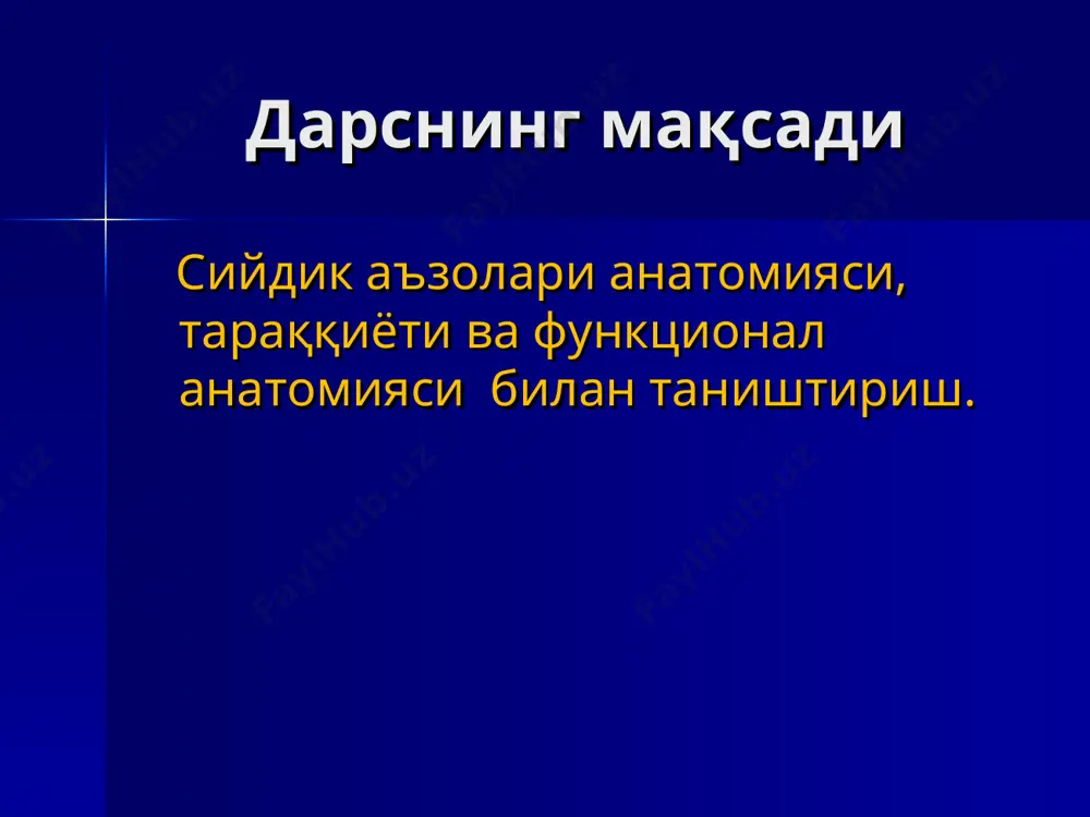 сийдик чиқарув аъзоларининг анатомияси - Page 3
