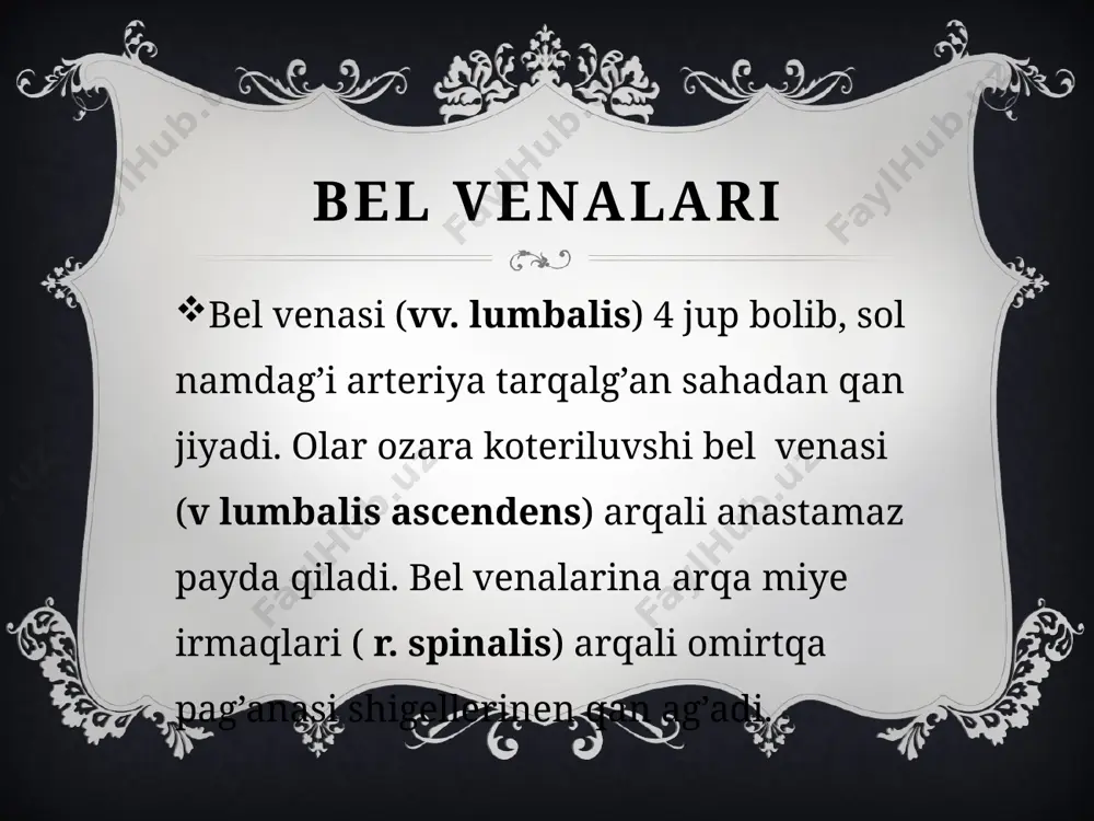 pastki kovak vena - Page 3