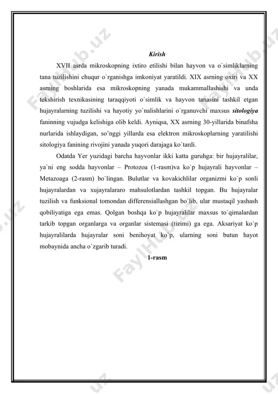 hkil topgan. tananing ma`lum bir vazifani bajaruvchi qismi organ deb yuritiladi. har bir organ o`z navbatida bir necha xil to`qimalardan tarkib topgan. aniq bir yo’nalishdagi vazifani bajarishga moslashgan organlar yig`masi organlar sistemasini tashkil etadi: ovqat hazm qilish organlari sistemasi (og`iz bo`shlig`i, tomoq, qizilo`ngach, oshqozon, ichaklar), nafas olish organlari sistemasi, ayirish organlari sistemasi, qon aylanish sistemasi, jinsiy organlar sistemasi, nerv sistemasi va sezuv organlari. bunday organlar sistemalari har xil hayvonlar tipida turlicha rivojlangan. ko`pchilik ko`p hujayrali hayvonlarning tana qismlari bilateral simmetriyali, ya`ni ma`lum bir tartibda joylashgan. faqat kamgina hayvonlarda, jumladan bulutlarda tana ma`lum simmetriyaga ega emas. qolgan ko`p hujayralilar tanasi radial simmetriya (kovakichlilar, dengiz yulduzlari va xokazo)li tuzilgan. radial simmetriyaga ega bo`lgan hayvonlarda tanani bir necha qismlarga teng bo`lish mumkin bo`lsa, bilaterial simmetriyalilarda faqat bir chiziq bilan uni teng ikki qismga ajratish mumkin. 3 -rasm asosiy qism 1. ontogenez va filogenez haqida tushuncha e.gekkel va f.myullerlarning biogenetik qonunining mohiyati. har bir …