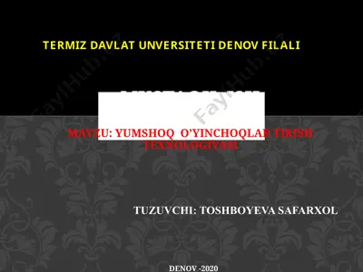 yumshoqo’yinchoqlar tuzilishi — PPTX