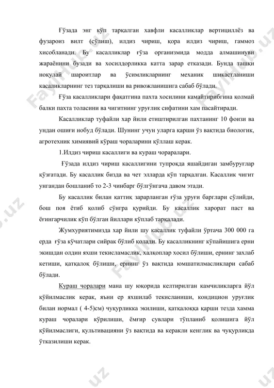 из чириш касаллиги бу касаллик асосан ингичка толали ғўза навлари экладиган районларда тарқалган бўлиб, у пахта хосилини 10-15 % камайтиради, тола ва чигит сифатини бузади. бу касалликнинг тупроқ замбуруғи ёки нихоллар ва катта ёшдаги ғўзалар илдизини қорайтириб ўсимликнинг сўлиб қолишига сабаб бўлади. кузда -август ойининг иккинчи ярмида тупроқ намлиги ошиб кетганда касалланиш фақат ингичка толалиларда бўлади. бу касаллик сурхондарё вилоятида 13-27 %, тожикистон жумхуриятида 47% етади. кураш чоралари. касал ғўзапояларни даладан чиқариш, алмашлаб (беда) экиш , касалликка чидамли навларни экиш. вертициллёз вилт бу касаллик хам хамма пахта экадиган вилоятларда тарқалган. бу касаллик 700 турдан ортиқ маданий ва ёввойи ўсимликларни хам зарарлайди.бу касаллик пахта хосилини кескин камайтириш билан бирга, тола сифатини, чигитнинг уруғлик хусусиятини, таркибидаги ёғ миқдорини кескин камайтириб юборади. вилтдан республикамиз баъзи йиллари 400-500 тоннагача пахтани йўқотган. вилт замбуруғи ғўзани барча фазаларида шикастайверади. вилт касаллиги кўпинча 5-7 та чинбарг чиқаргандан бошлаб, гуллаш- мевалаш даврида кучайиб, ёз охиригача кўпайиб бораверади. вилтни …