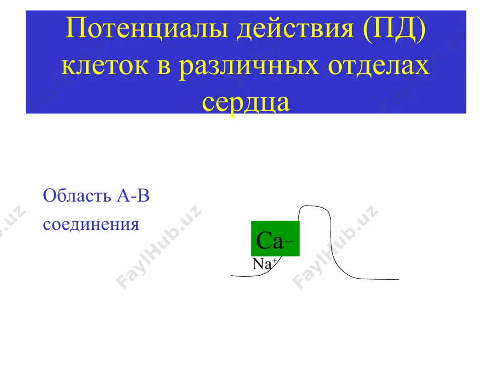 аритмия (а) - Page 5