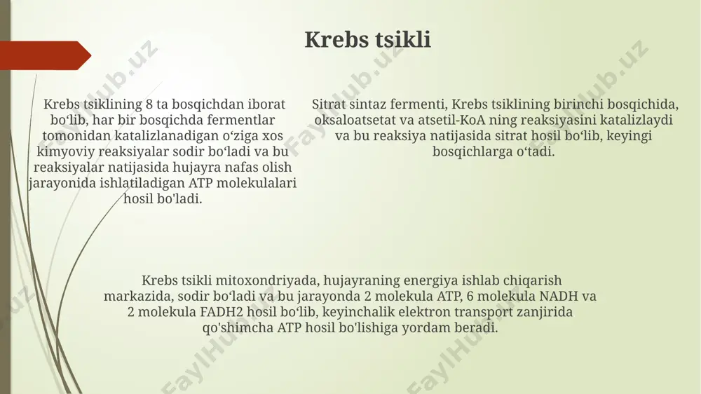 ikaning yer sayyorasidagi hayot uchun ahamiyatini ko'rsatadi. inson organizmidagi mitoxondriyalar – hujayra energiya stansiyalari, bioenergetik jarayonlarning asosiy markazi hisoblanib, kuniga taxminan 10 18 atp molekulasi hosil qiladi va bu energiya miqdori juda katta. e'tiboringiz uchun rahmat @taqdimot_robot