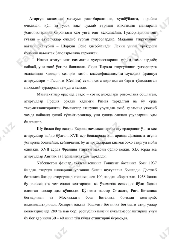 боғидаги атиргуллар коллекциясида 280 та нав бор; республикамизни кўкаламзорлаштириш учун бу боғ ҳар йили 30 – 40 минг тўп кўчат етиштириб бермоқда. ҳозирги вақтда атиргулларнинг асосий турини чой – дурагай атиргул, полиант атиргули, пернециан атиргули, флорибунда атиргули групаларига таалуқли навлар ташкил этади. уларни уйда тувакчаларда ўстириш аҳоли яшайдиган жойларда гулзорларга экиш ва гулдасталар учун узиш мумкин. бу навлар кўплаб ва узлуксиз гуллайди, гули ранг-баранг, шакли хилма-хил ҳамда жуда хушбўйдир. ўзбекистонда, шу жумладан самарқандда ўстириладиган маданий атиргуллар коллекцияси асосан чет элда селекция йўли билан олинган чой-дуругай, пернециан навларидан иборат. шунга кўра ўзбекистоннинг, хусусан самарқанднинг табиий шароити бу навларнинг биологик хоссаларига жўда кам мос келади. бундан ташқари, чет эл атиргул навлари уншудринг касаллигидан жуда кўп зарарланади. атиргуллар баъзи морфологик-биологик хоссаларига ва ташқи белгиларига қараб учта катта групага бўлинади. биринчи группа -манзарали ўсимликлар, парникларда ўстириладиган ва совуққа чидамли ва кўпинча бир марта гуллайдиган атиргуллар. бу группага кирадиган атиргулнинг икки йиллик навлари гул очади. …