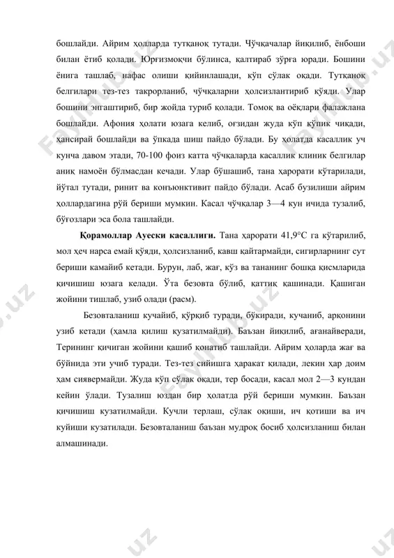 ана ҳарорати кўтарилади, йўтал тутади, ринит ва конъюнктивит пайдо бўлади. асаб бузилиши айрим ҳоллардагина рўй бериши мумкин. касал чўчқалар 3—4 кун ичида тузалиб, бўғозлари эса бола ташлайди. қорамоллар ауески касаллиги. тана ҳарорати 41,9°с га кўтарилиб, мол ҳеч нарса емай қўяди, ҳолсизланиб, кавш қайтармайди, сигирларнинг сут бериши камайиб кетади. бурун, лаб, жағ, кўз ва тананинг бошқа қисмларида қичишиш юзага келади. ўта безовта бўлиб, қаттиқ қашинади. қашиган жойини тишлаб, узиб олади (расм). безовталаниш кучайиб, қўрқиб туради, бўкиради, кучаниб, арқонини узиб кетади (ҳамла қилиш қузатилмайди). баъзан йиқилиб, ағанайверади, терининг қичиган жойини қашиб қонатиб ташлайди. айрим ҳоларда жағ ва бўйнида эти учиб туради. тез-тез сийишга ҳаракат қилади, лекин ҳар доим ҳам сиявермайди. жуда кўп сўлак оқади, тер босади, касал мол 2—3 кундан кейин ўлади. тузалиш юздан бир ҳолатда рўй бериши мумкин. баъзан қичишиш кузатилмайди. кучли терлаш, сўлак оқиши, ич қотиши ва ич куйиши кузатилади. безовталаниш баъзан мудроқ босиб ҳолсизланиш билан алмашинади. расм. бузоқларда ауески …