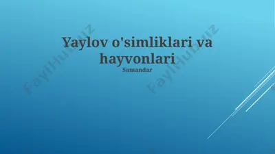 yaylov o'simliklari va hayvonlari — PPTX