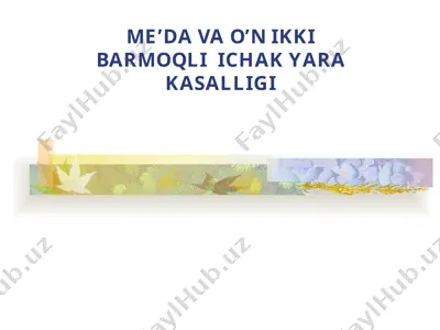 me’da va o’n ikki barmoqli ichak yara kasalligi — PPTX